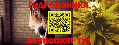 2c-b Брянск